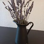 Dreilaendertreff Appartamento
