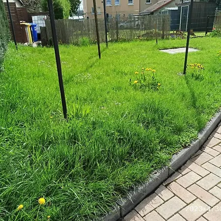 Dreilaendertreff شقة تسيتاو