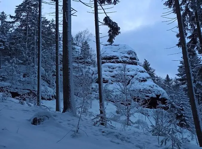 شقة Dreilaendertreff تسيتاو