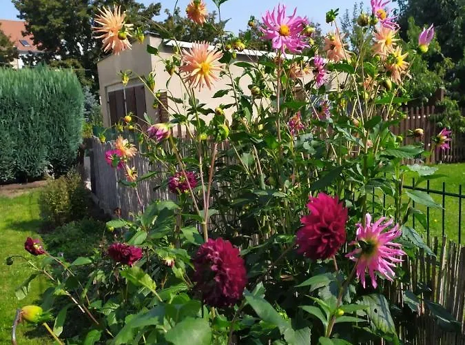 Dreilaendertreff * تسيتاو