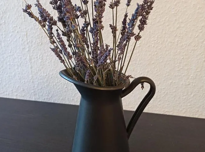 Dreilaendertreff شقة